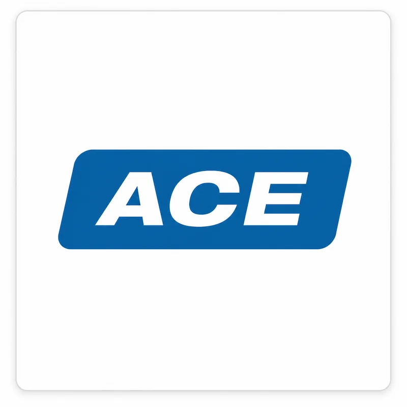 Logo ACE - fabricante de bombas industriales, equipos de bombeo y soluciones de transferencia de fluidos suministradas por Grupo Amarel